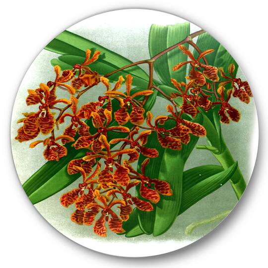 Designart - Retro Flowers II